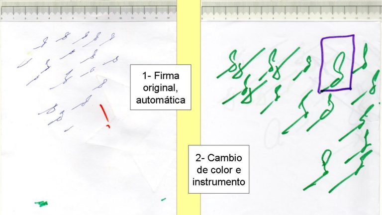 1-Firma original y e color con fibra